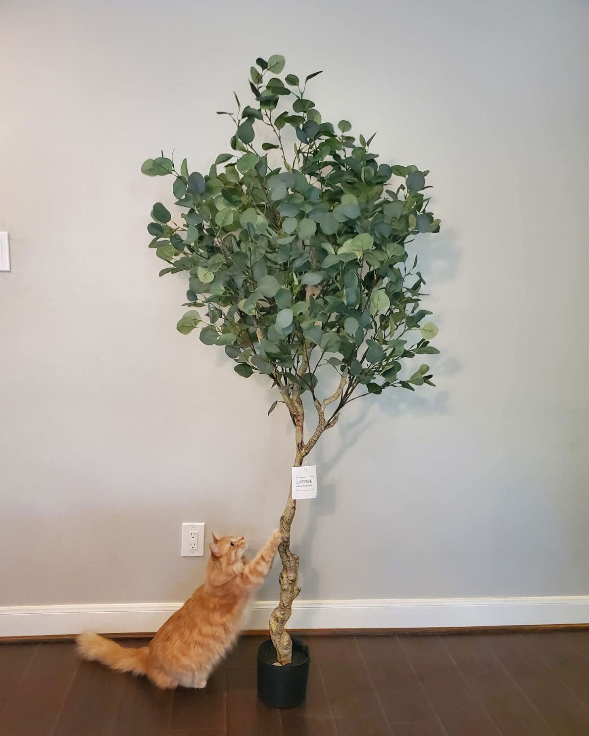 Faux Eucalyptus Tree Discover Quality of Life